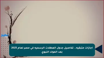 إجازات متبقية.. تفاصيل جدول العطلات الرسمية في مصر لعام 2025 بعد المولد النبوي